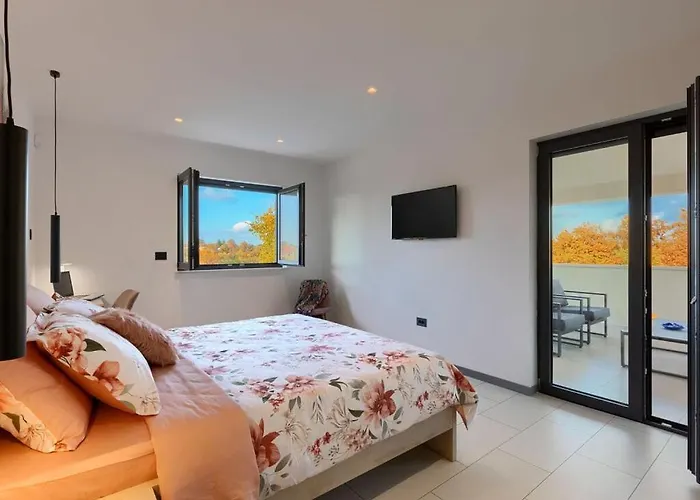 Duplich Comfortable *