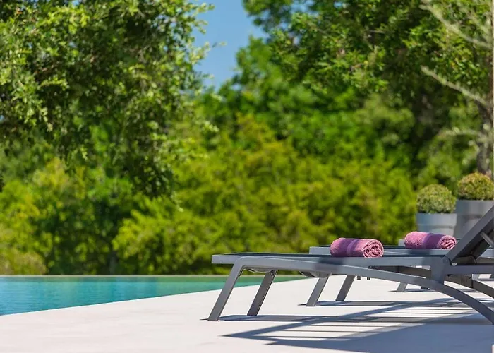 Duplich Comfortable *