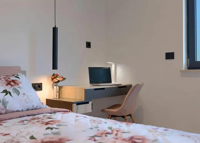 Duplich Comfortable *